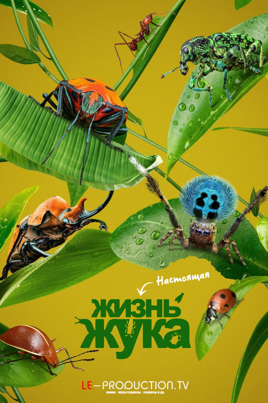 Настоящая жизнь жука 2 сезон /  / A Real Bug's Life